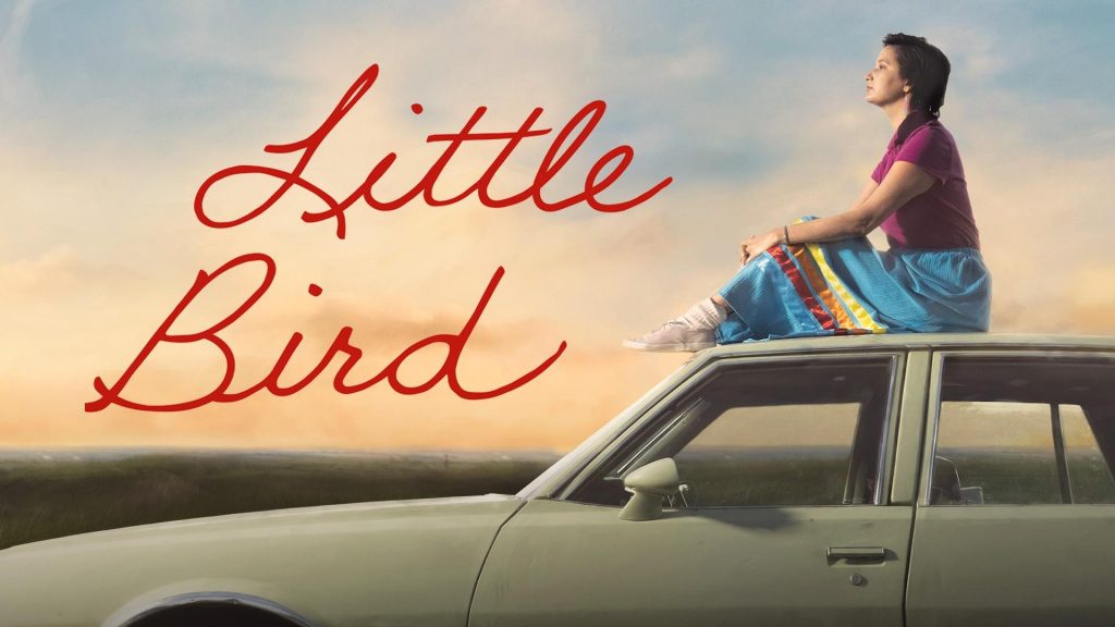 Little Bird – Zwangsadoption von Ureinwohnern in Kanada. Review Miniserie